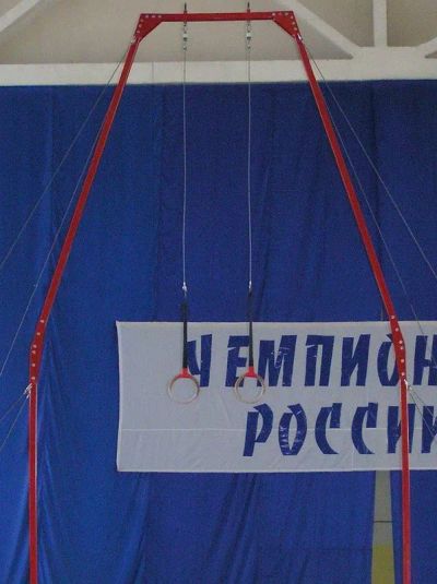 Лот: 22359384. Фото: 1. Рама с кольцами гимнастическими... Другое (спортивные товары)