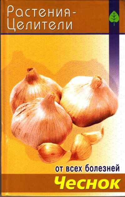 Лот: 23443930. Фото: 1. Чеснок | Серия: Растения-целители... Популярная и народная медицина