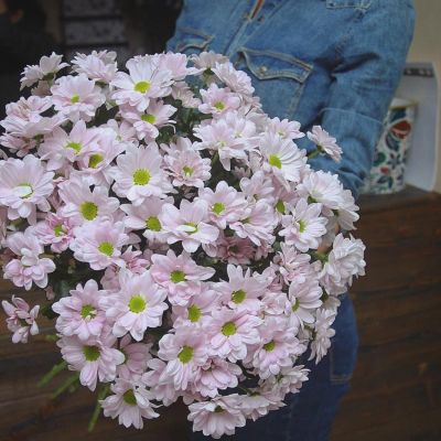 Лот: 7271827. Фото: 1. Сборный букет. Цветы на Щорса... Свежие цветы