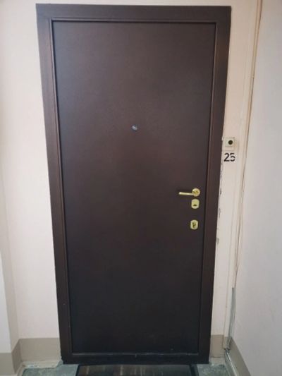 Лот: 16286111. Фото: 1. Дверь входная. Двери входные