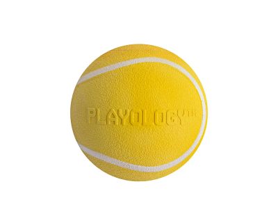 Лот: 24832675. Фото: 1. Playology Squeaky Chew Ball жевательный... Игрушки для животных