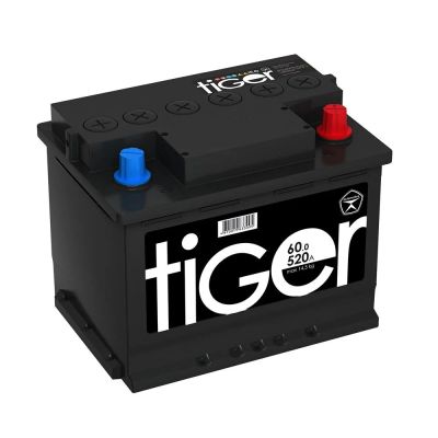 Лот: 16158645. Фото: 1. Аккумулятор Tiger Аком 60 Ач L... Аккумуляторы