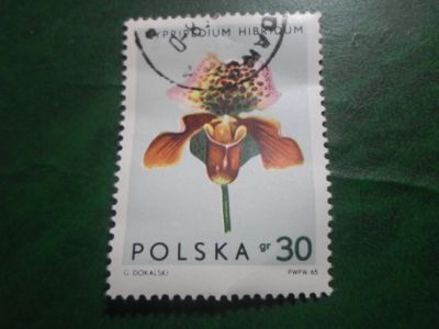 Лот: 18618199. Фото: 1. Марка для Вашей коллекции. №36055. Марки
