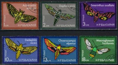 Лот: 18245366. Фото: 1. 1975. Болгария. Мотыльки. Полная... Марки