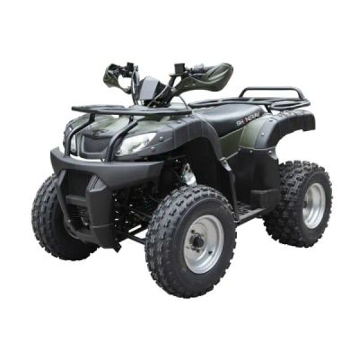 Лот: 25364851. Фото: 1. Квадроцикл ATV Beorn 200. Снегоходы, квадроциклы
