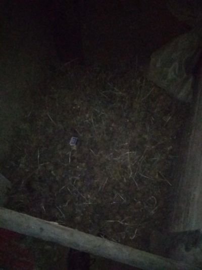 Лот: 16378529. Фото: 1. Картофель/картошка/картоха старого... Картофель