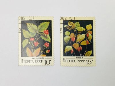 Лот: 23314636. Фото: 1. Дикорастущие ягоды. Кизил. Костяника... Марки