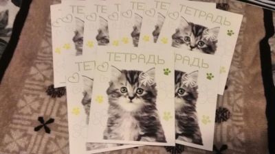 Лот: 12044690. Фото: 1. тетрадь 24 листа клетка котик... Школьная канцелярия