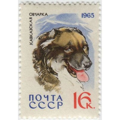 Лот: 18599435. Фото: 1. Кавказская овчарка. 1965 г. Марки