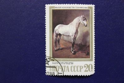 Лот: 6896374. Фото: 1. Почтовая марка №4256 в коллекцию. Марки