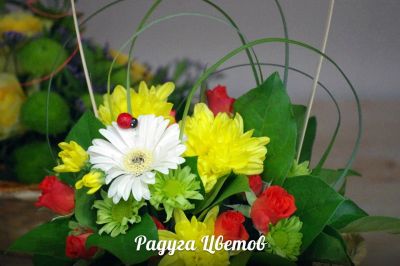 Лот: 6781666. Фото: 1. Фирменный букет от Радуги Цветов... Свежие цветы