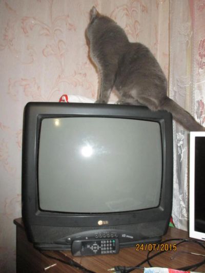 Лот: 5868827. Фото: 1. LG телевизор. Телевизоры