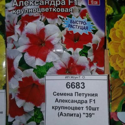 Лот: 9117864. Фото: 1. Семена / цветы / Петуния Александра... Садовые цветы