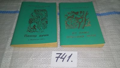 Лот: 11890911. Фото: 1. Марьясова-Кулеш В.И., Пожар души... Художественная