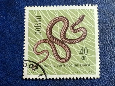 Лот: 25896416. Фото: 1. Марки Флоры и Фауны. лот №-94037. Марки