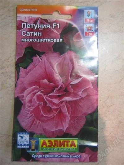 Лот: 2722209. Фото: 1. Петуния Сатин (рассада). Другое (семена, рассада, садовые растения)