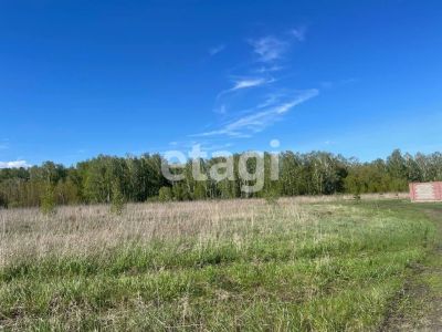 Лот: 25297268. Фото: 1. участок , садовые участки Штаны... Земельные участки