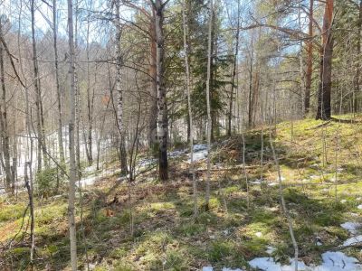 Лот: 25298128. Фото: 1. участок , посёлок Элита Сосновая... Земельные участки