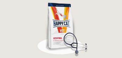 Лот: 11842060. Фото: 1. Happy Cat (Хэппи Кэт) 1,4кг сухой... Корма
