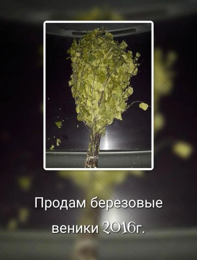 Лот: 9192782. Фото: 1. Березовые веники. Другое (красота и здоровье)
