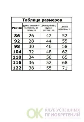 Лот: 12649872. Фото: 1. комбинезон д/мальчика р. 122. Верхняя одежда