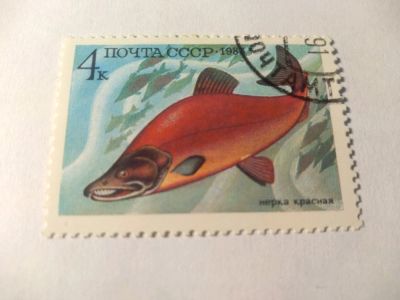 Лот: 13939195. Фото: 1. Марка ссср нерка красная 1983. Марки