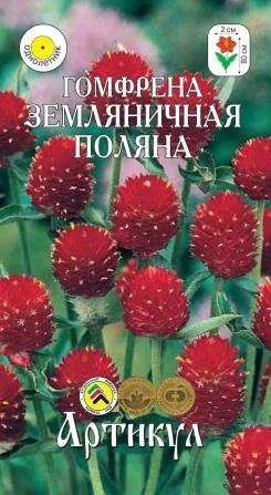 Лот: 11024330. Фото: 1. Гомфрена Земляничная поляна 0... Садовые цветы