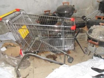 Лот: 769906. Фото: 1. Продуктовая тележка. Разное