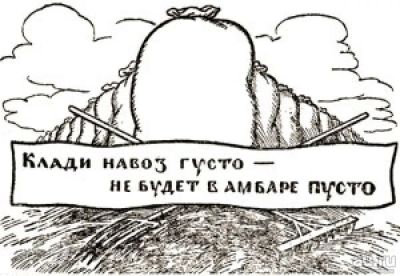 Лот: 14917975. Фото: 1. Навоз (коровий). Удобрения, химия