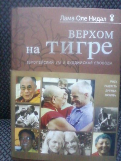 Лот: 10682923. Фото: 1. Оле Нидал "Верхом на тигре. Европейский... Религия, оккультизм, эзотерика