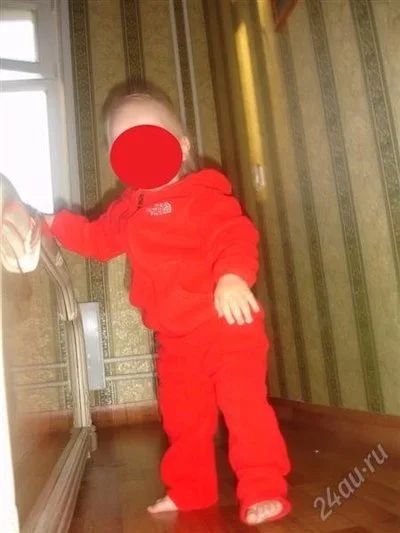Лот: 2199431. Фото: 1. Поддева Norht face. Верхняя одежда