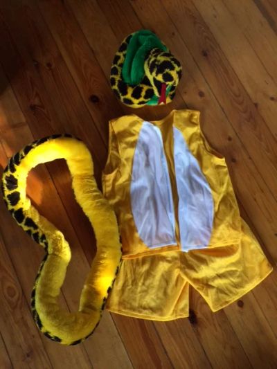 Лот: 11768554. Фото: 1. Детский костюм укротителя змей. Детские карнавальные, праздничные костюмы