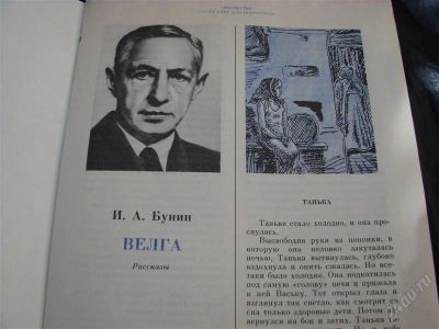 Лот: 2439953. Фото: 1. Велга, сборник рассказов, автор... Художественная
