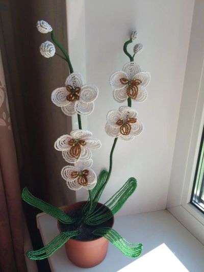 Лот: 4043251. Фото: 1. Орхидея белая. Бисероплетение