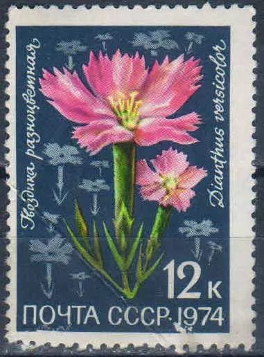 Лот: 25590587. Фото: 1. 1974, ноябрь. Флора. Цветы альпийских... Марки