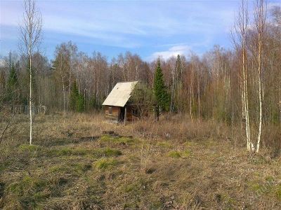 Лот: 2859149. Фото: 1. Дача на Снежнице. Дачи