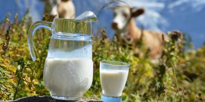 Лот: 6172470. Фото: 1. Молоко деревенское. Молоко и молочные продукты