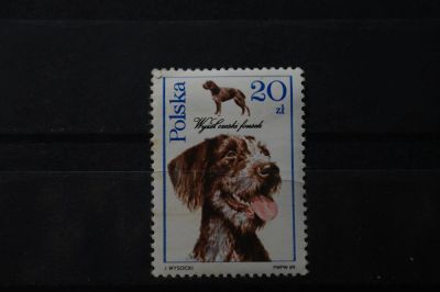 Лот: 3932684. Фото: 1. марка 58 Польша 1989 г фауна собаки. Марки