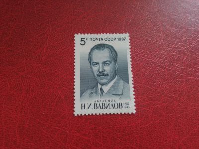 Лот: 19219673. Фото: 1. 1987 г, академик Вавилов N 5890. Марки