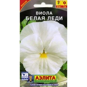 Лот: 9720670. Фото: 1. Виола Белая леди Рассада. Садовые цветы