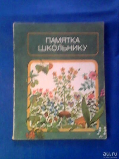 Лот: 9794477. Фото: 1. "Памятка школьнику". Познавательная литература