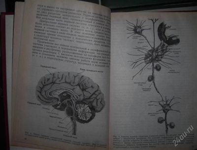 Лот: 1597392. Фото: 1. Книги по психологии. Для вузов