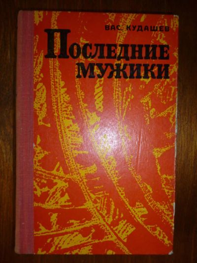 Лот: 6349375. Фото: 1. Василий Кудашёв. Последний мужик. Художественная