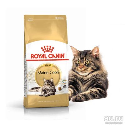 Лот: 10598505. Фото: 1. Royal canin Maine coon Сухой корм... Корма