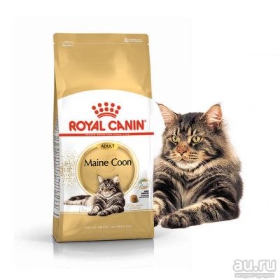 Лот: 15988475. Фото: 1. Royal canin Maine coon Сухой корм... Корма