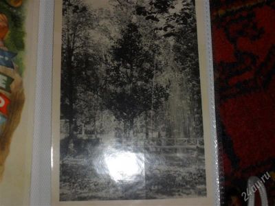 Лот: 2060181. Фото: 1. раритетная печатная открытка лес. Открытки, конверты