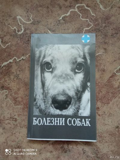 Лот: 17946645. Фото: 1. Книга Болезни собак 365 стр. Книги