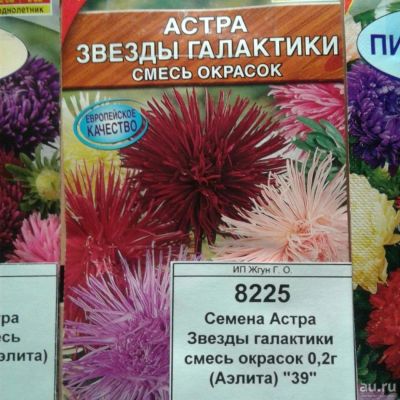 Лот: 9109926. Фото: 1. Семена / цветы / Астра / Звезды... Садовые цветы