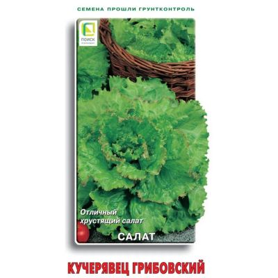 Лот: 25376527. Фото: 1. Семена Салат полукочанный, Кучерявиц... Другое (семена, рассада, садовые растения)