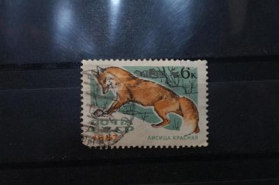 Лот: 3992068. Фото: 1. марки СССР 23 Лисица красная 1967... Марки